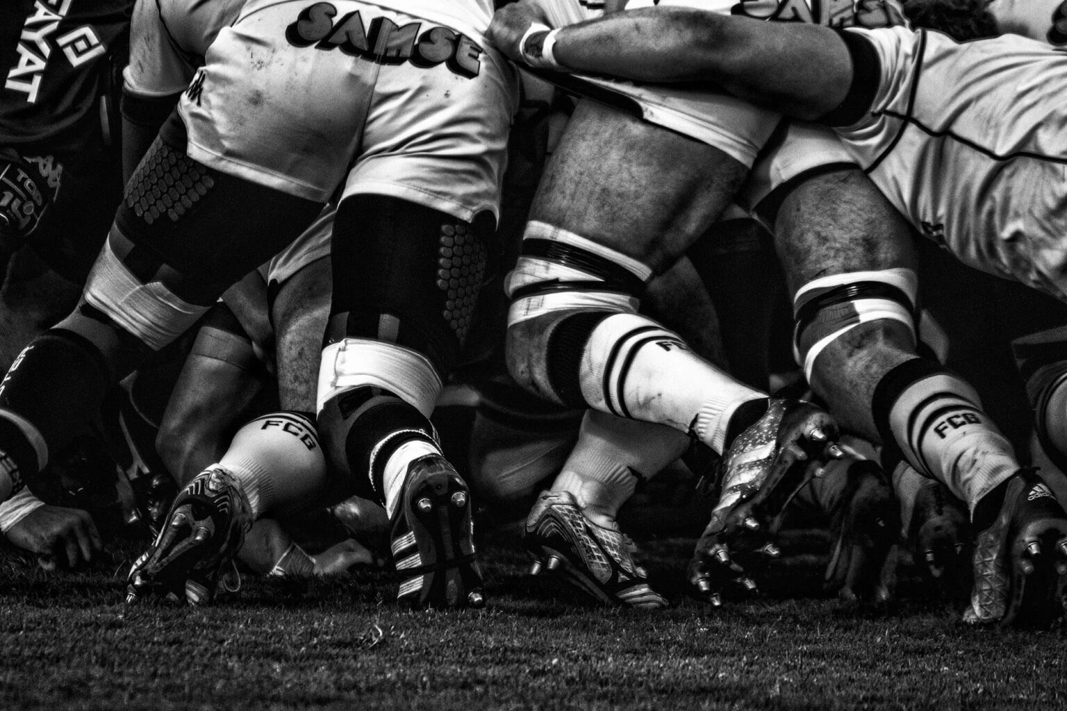 mêlée, action rugby, sport, sportifs en action