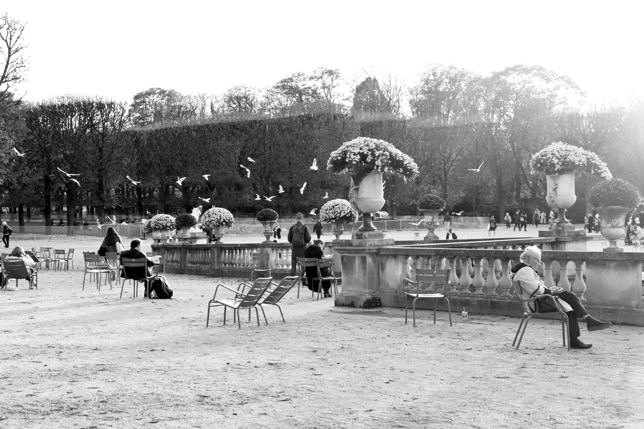 Les Jardins du Luxembourg - Bail Art